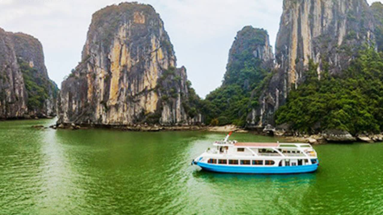 Kinh Nghiem Thue Tau Du Lich Vi Lan Ha 5 1