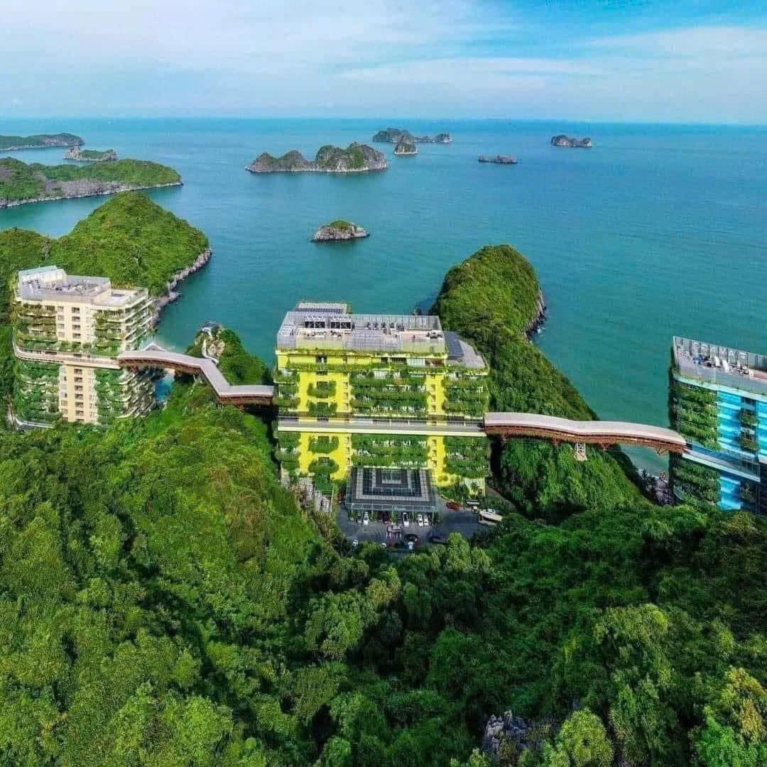 Khám Phá 5 Món Ăn Ngon Không Nên Bỏ Qua Khi Đến Du Lịch Đảo Flamingo Cát Bà