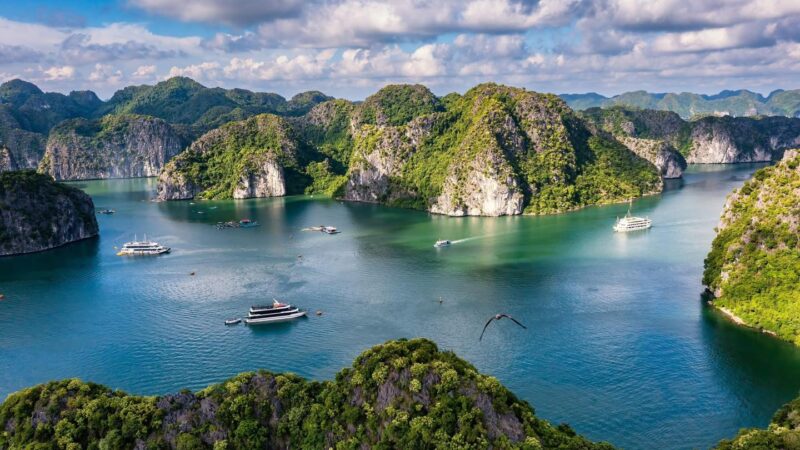 Những Kinh Nghiệm Du Lịch Vịnh Lan Hạ 3 Ngày 2 Đêm