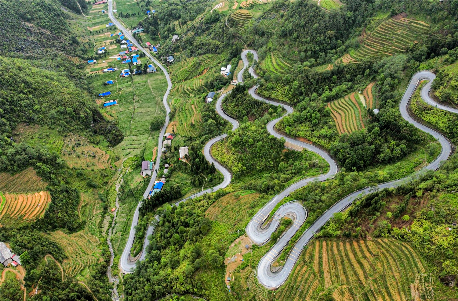 Hà giang