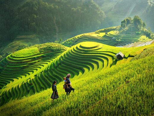 Mộc châu sơn la